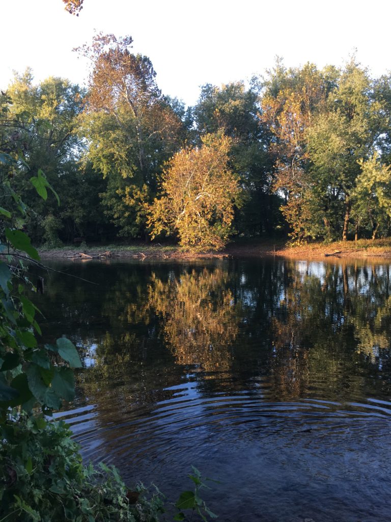 Hike in the woods near the water