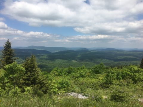 The view from the top of Spruce Knob.