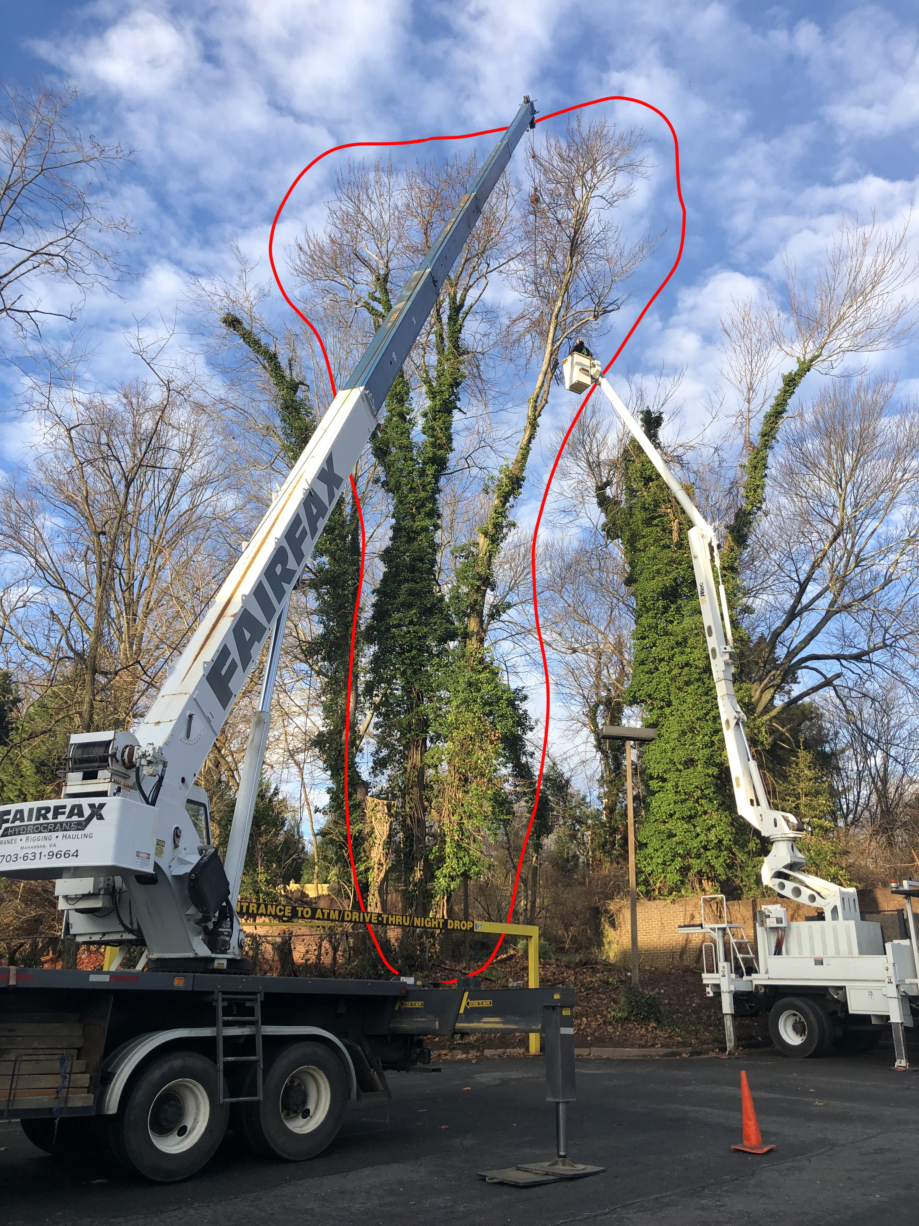 R&R Tree Service, LLC - Tree Service in Manassas, VA