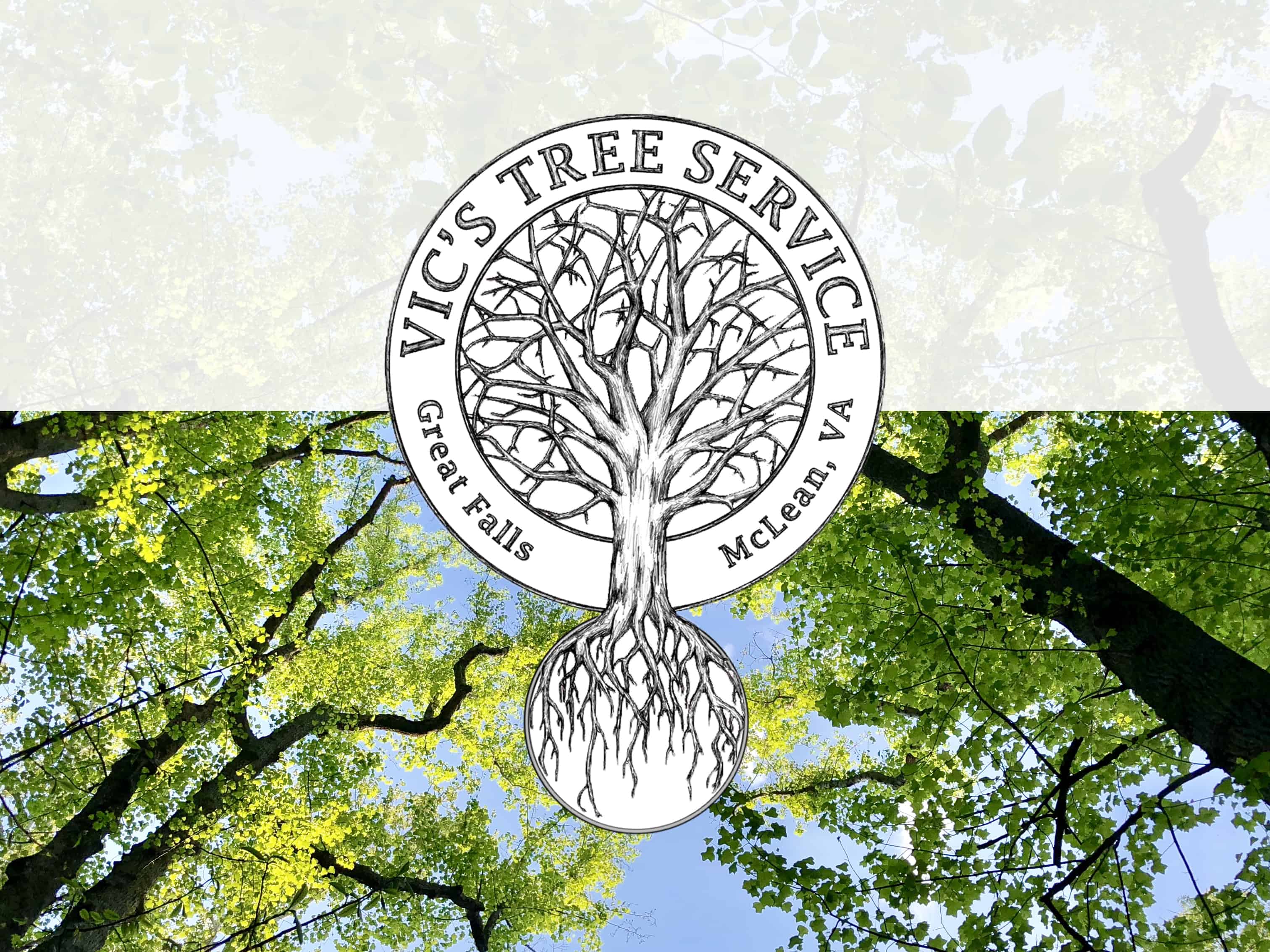 Tree service logo