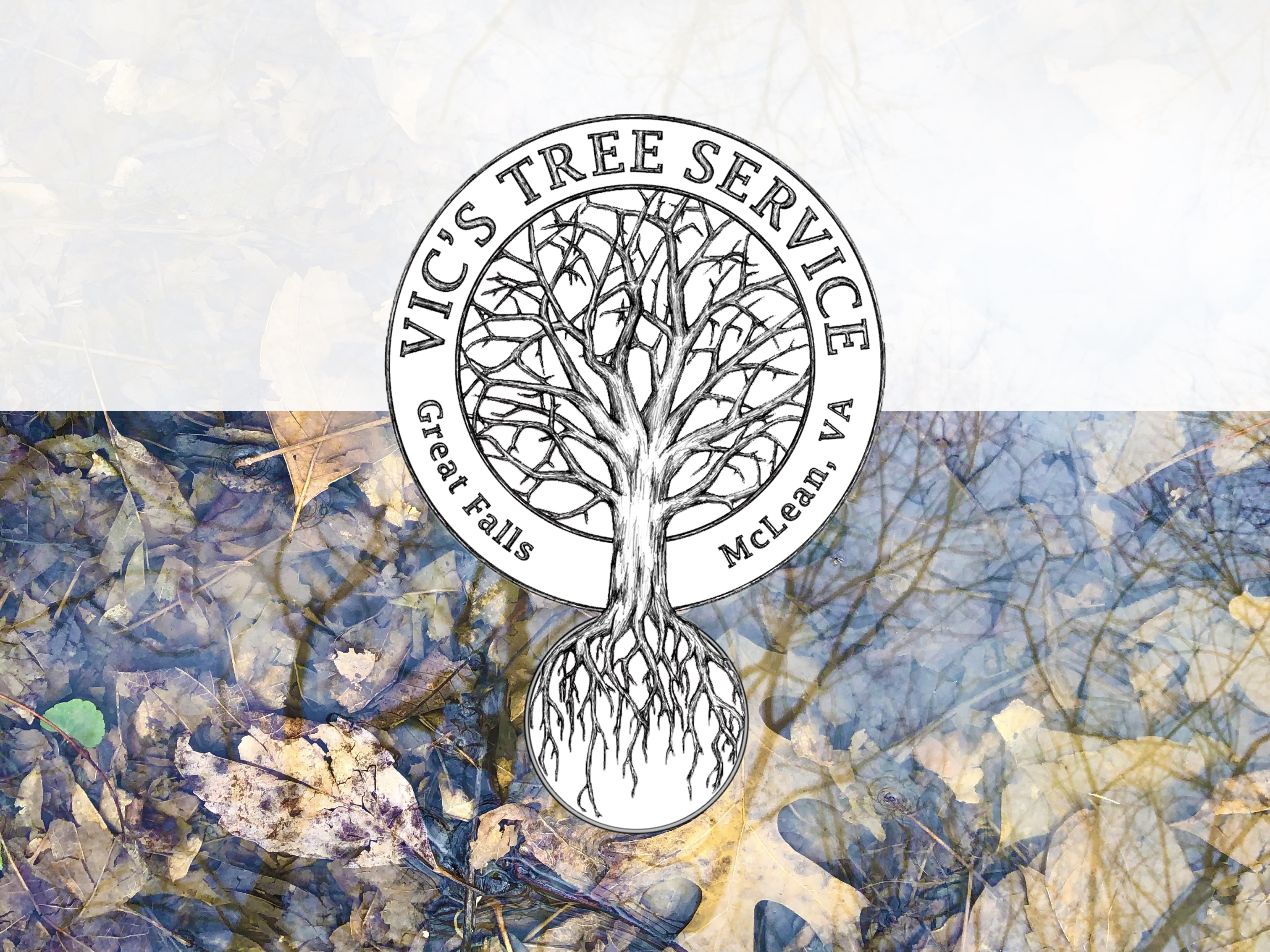 Tree service logo, leaves in water