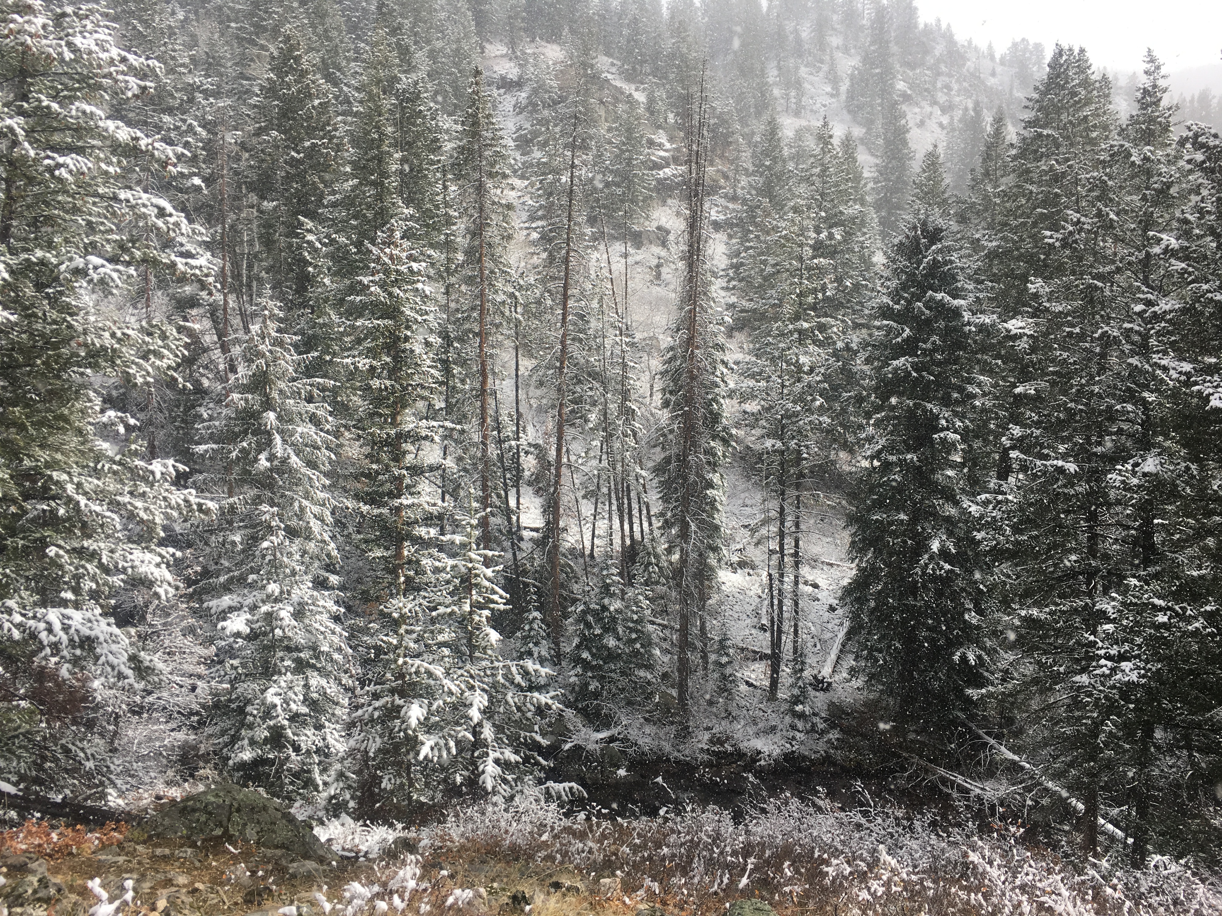 Mad Creek Trail CO