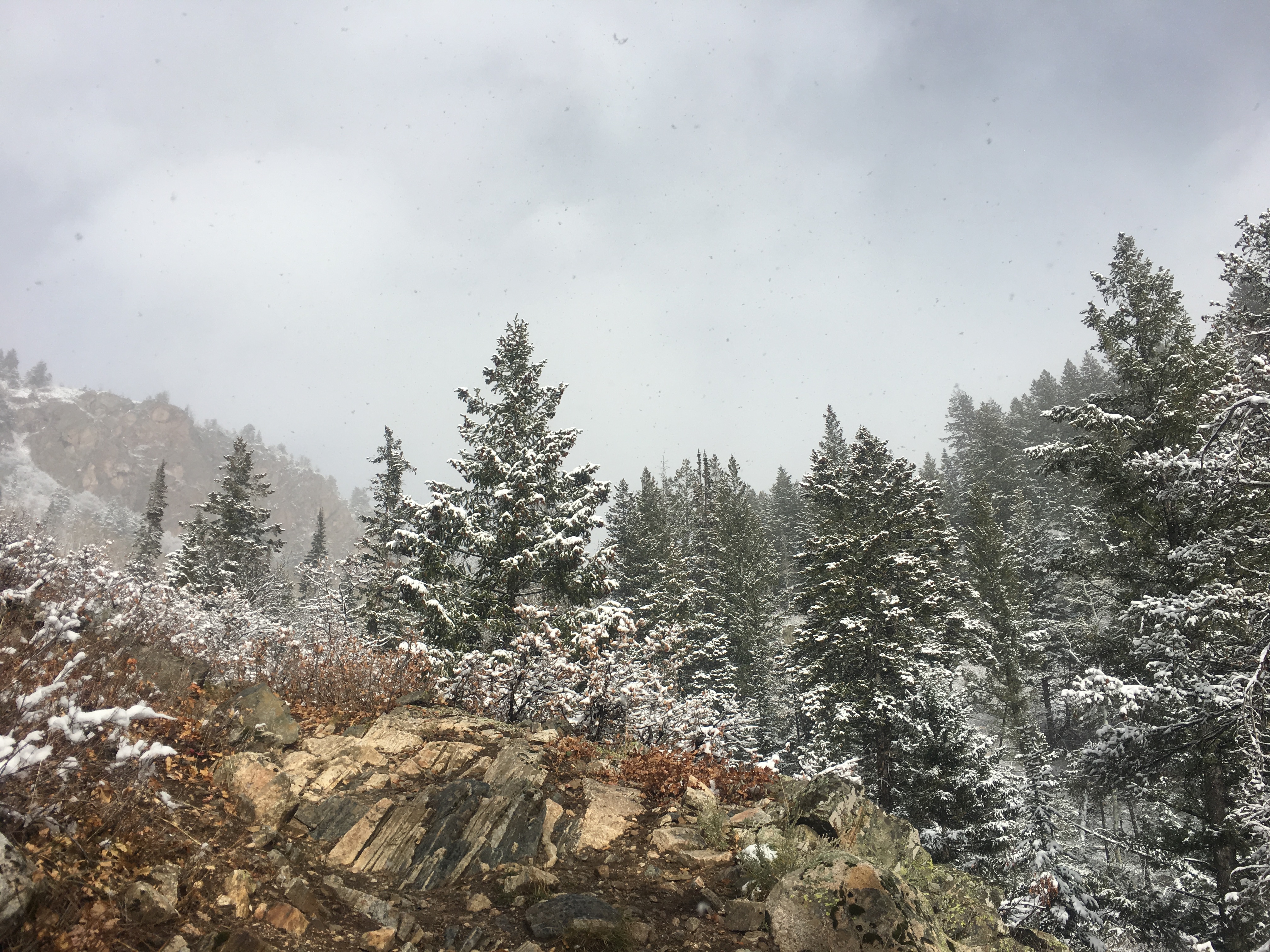 Mad Creek Trail CO