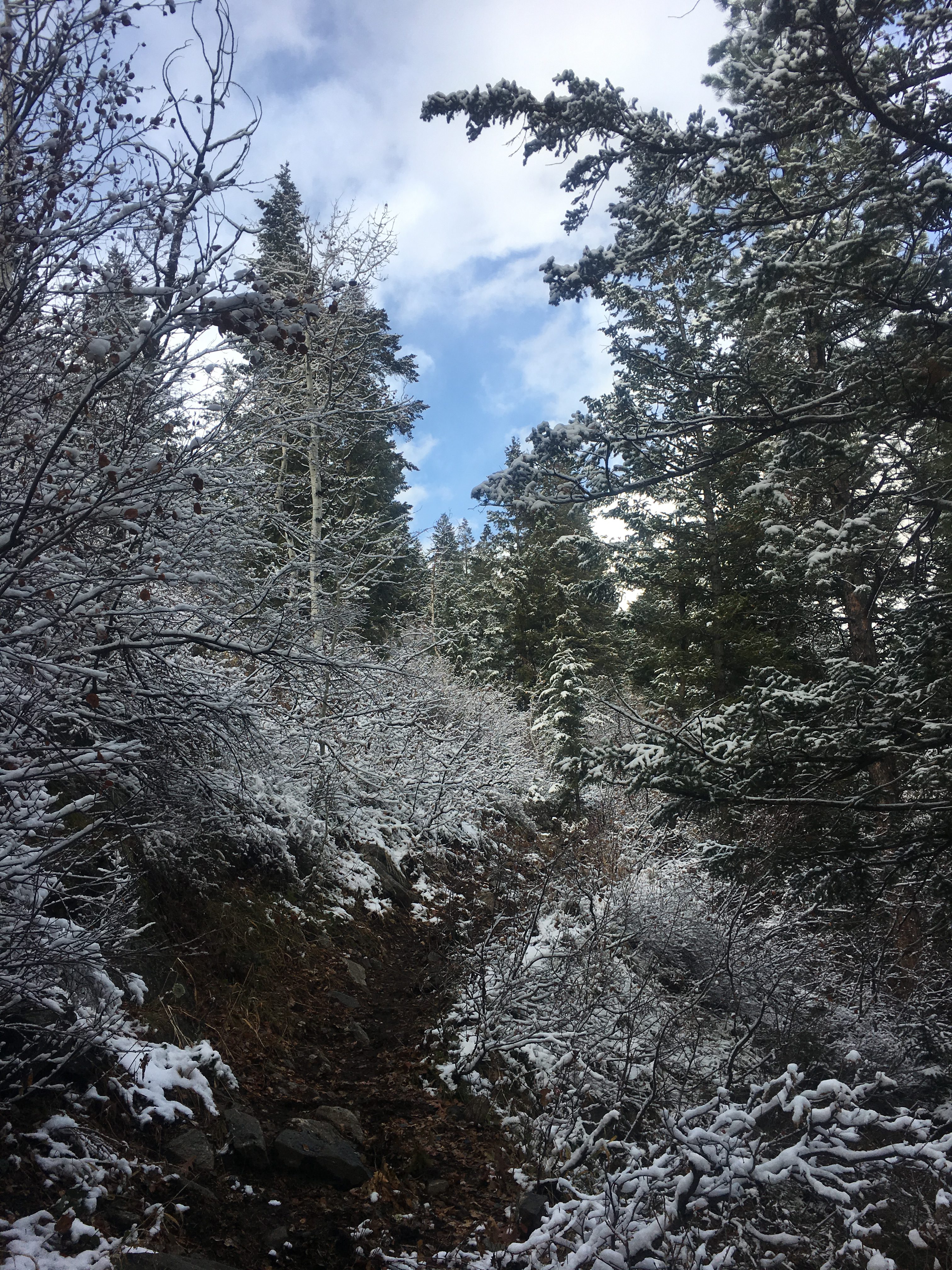 Mad Creek Trail CO