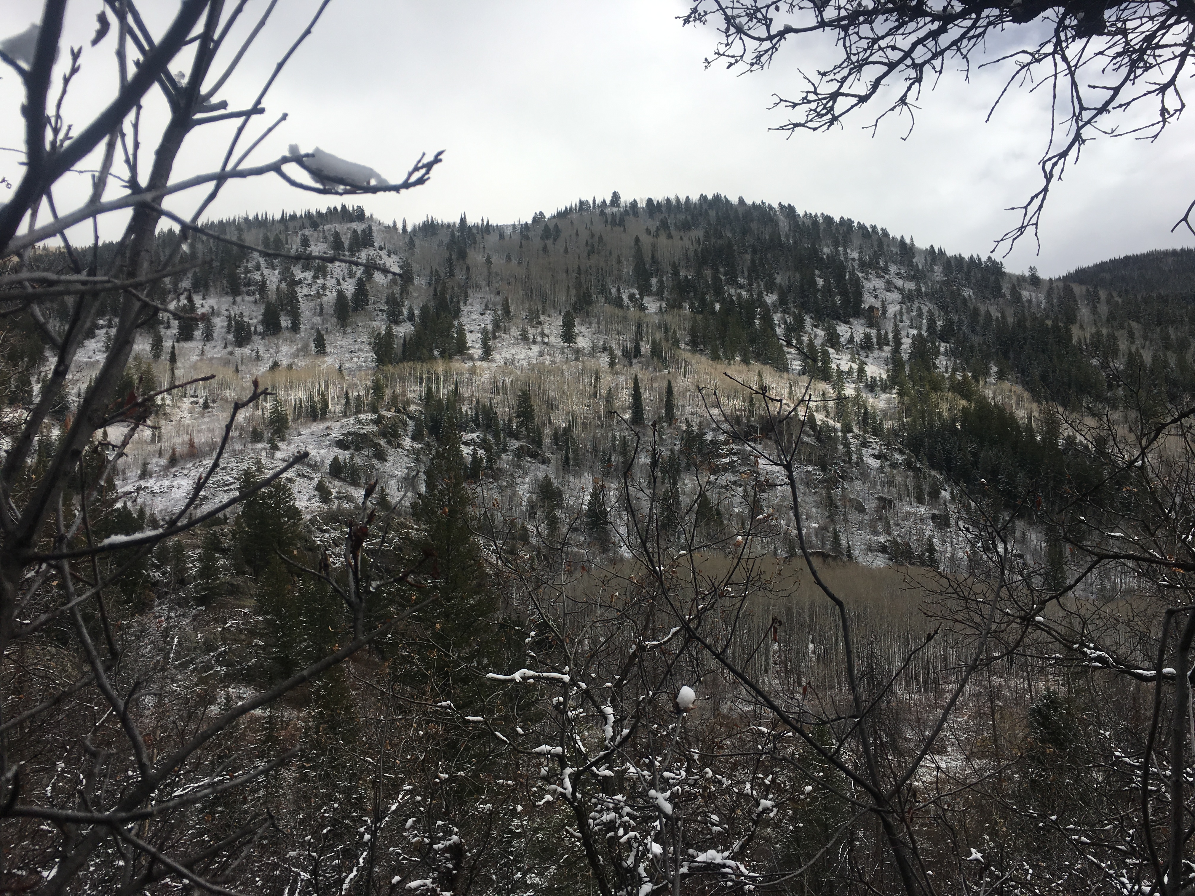 Mad Creek Trail CO