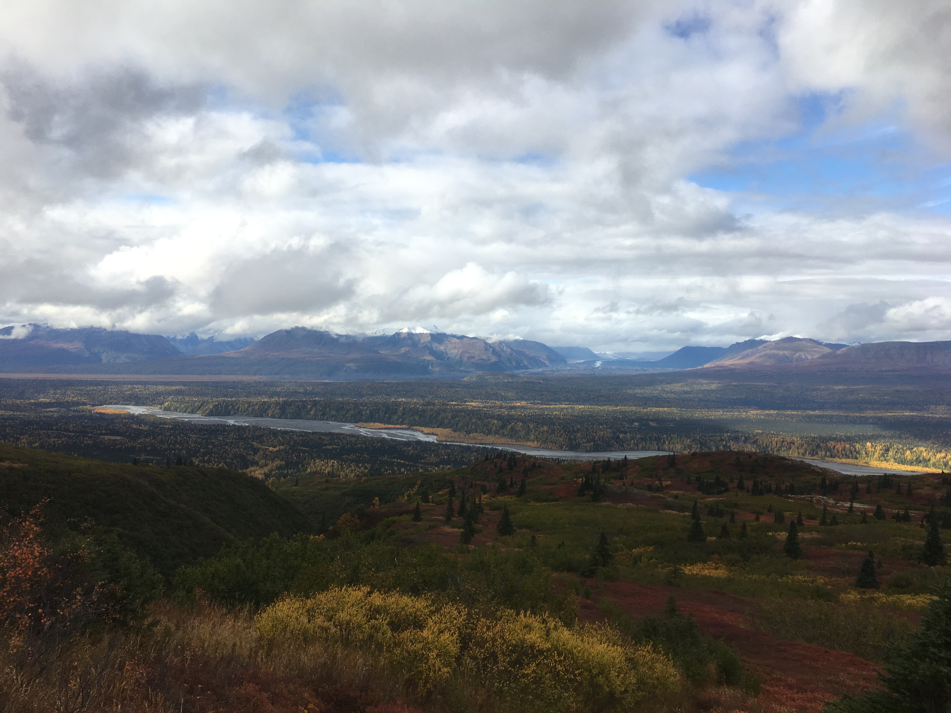 Kesugi Ridge - Denali Park view