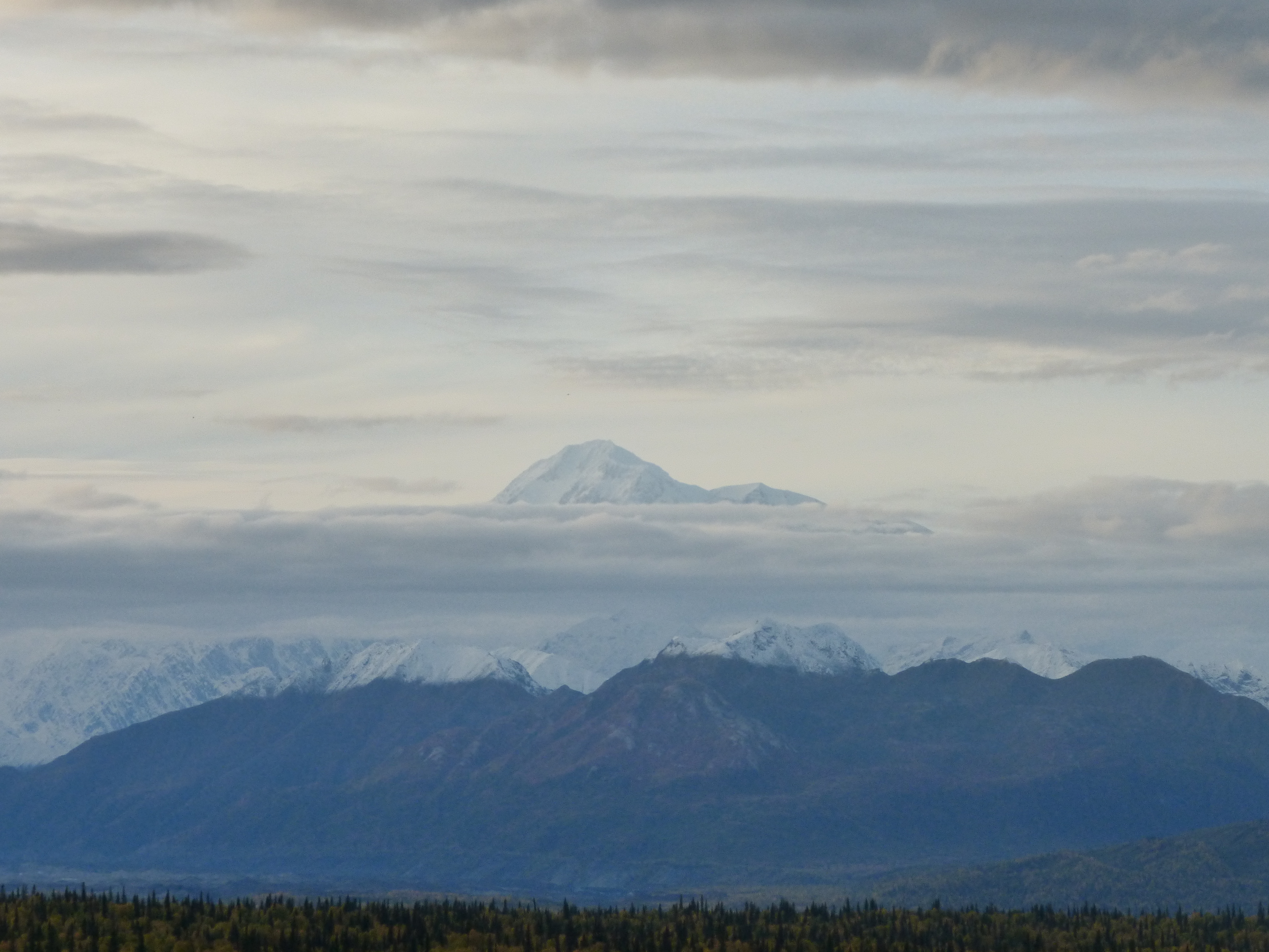 View from Kesugi Ridge - Denali