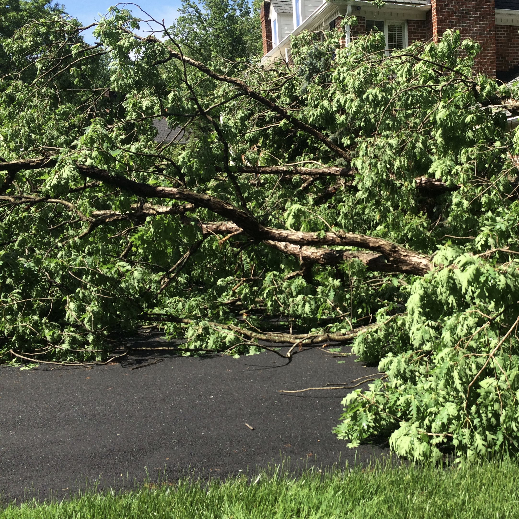 Storm damage