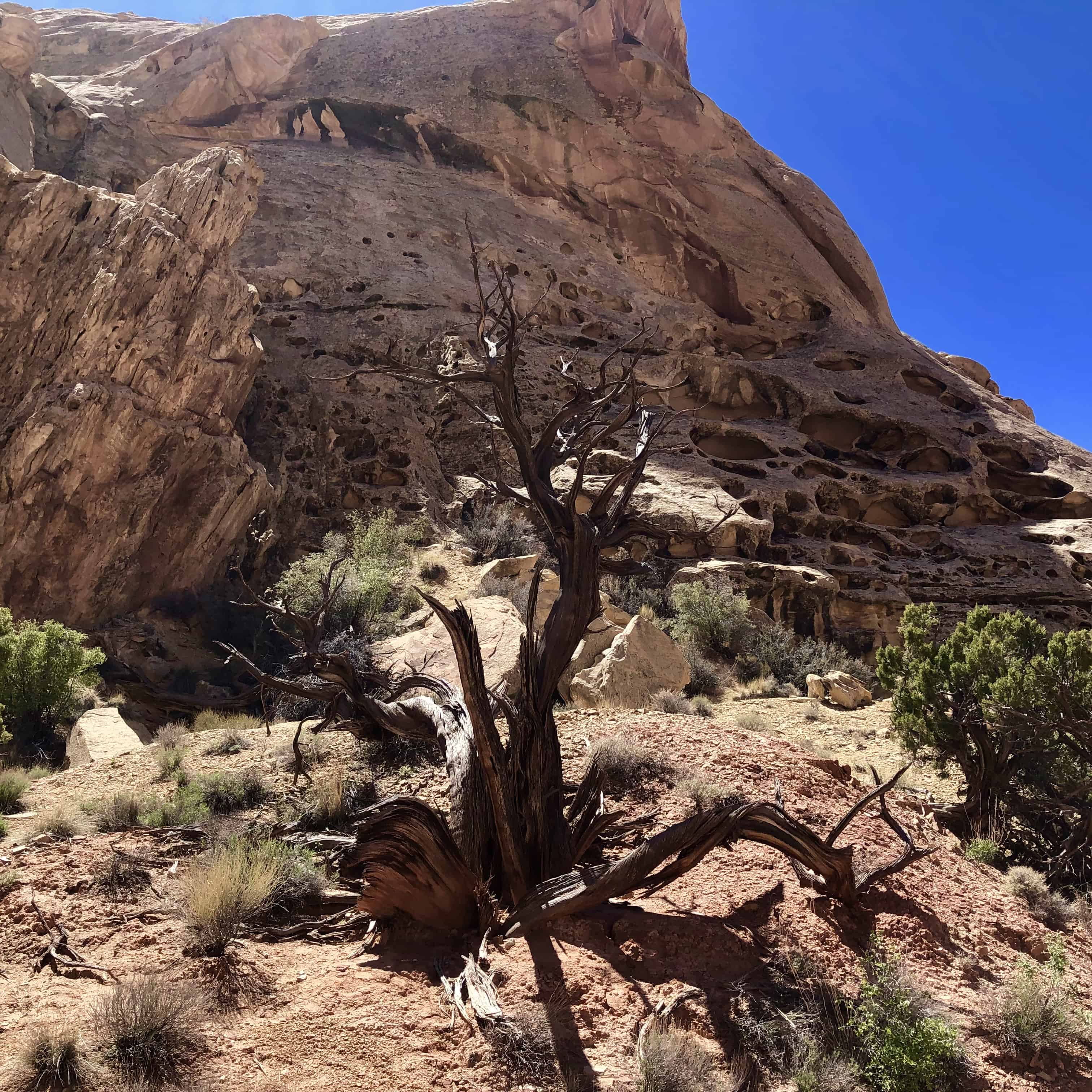 Typical landscape found along the San Rafael Swell in Utah.