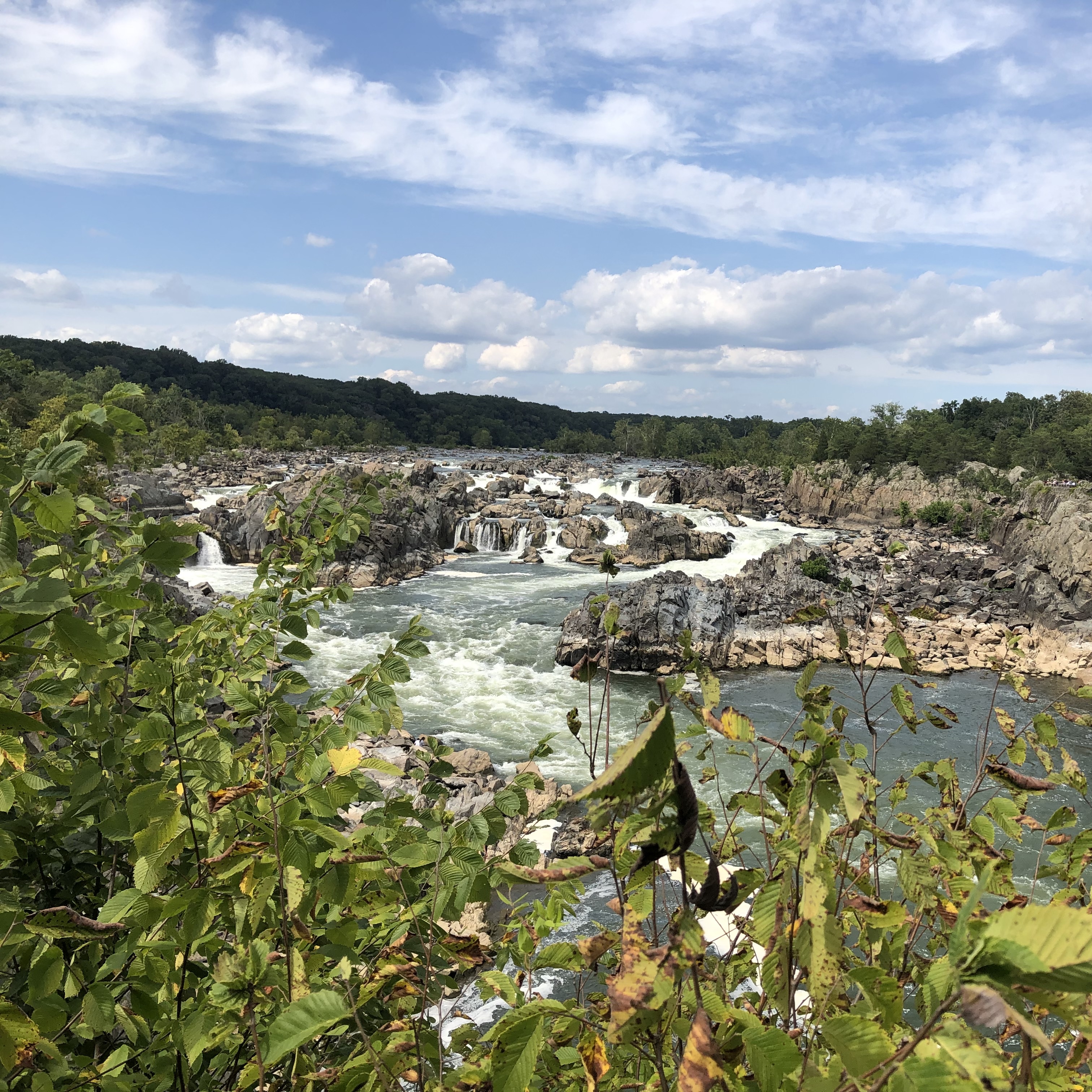 Great Falls Park, the main falls.