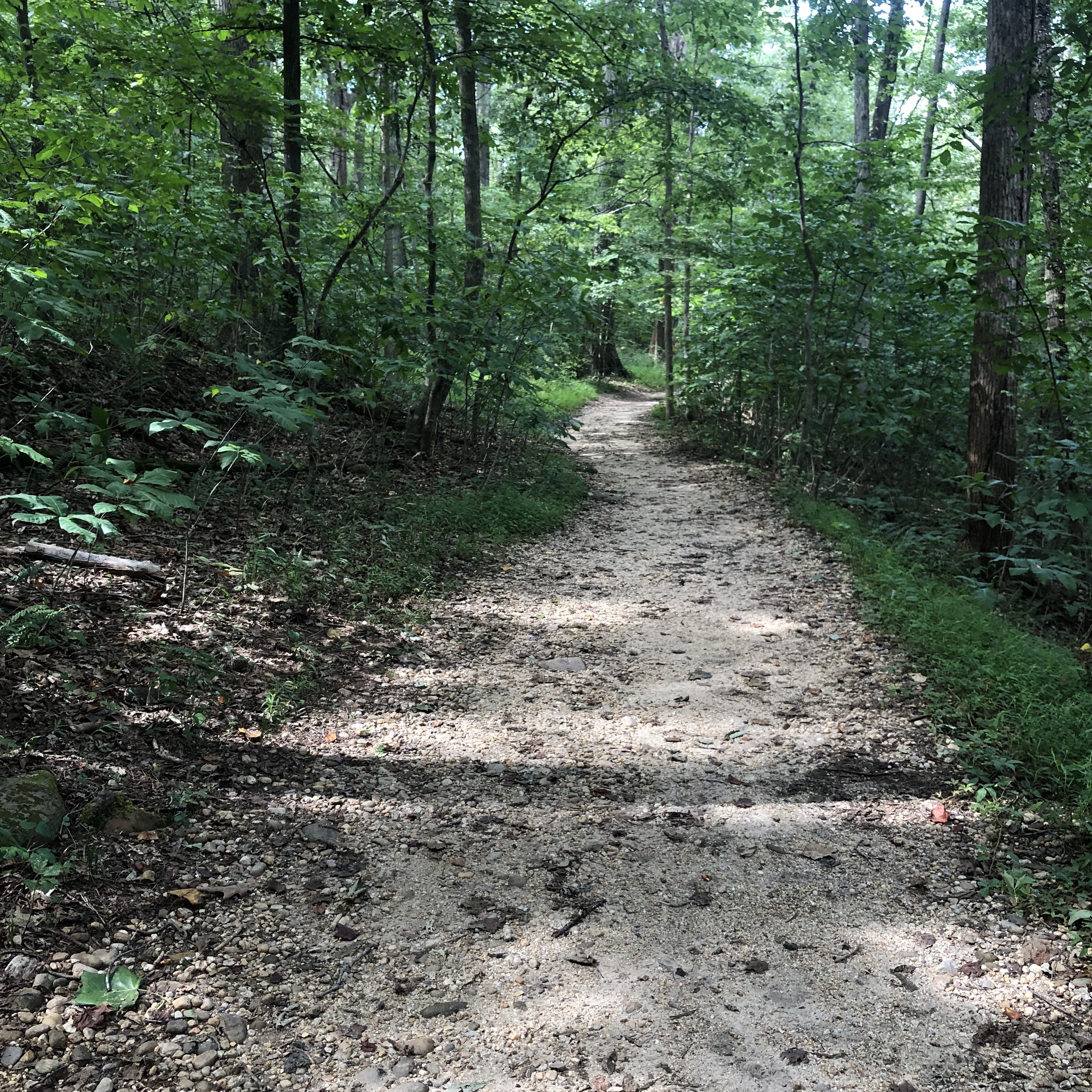 Pretty quiet trail in Great Falls Park