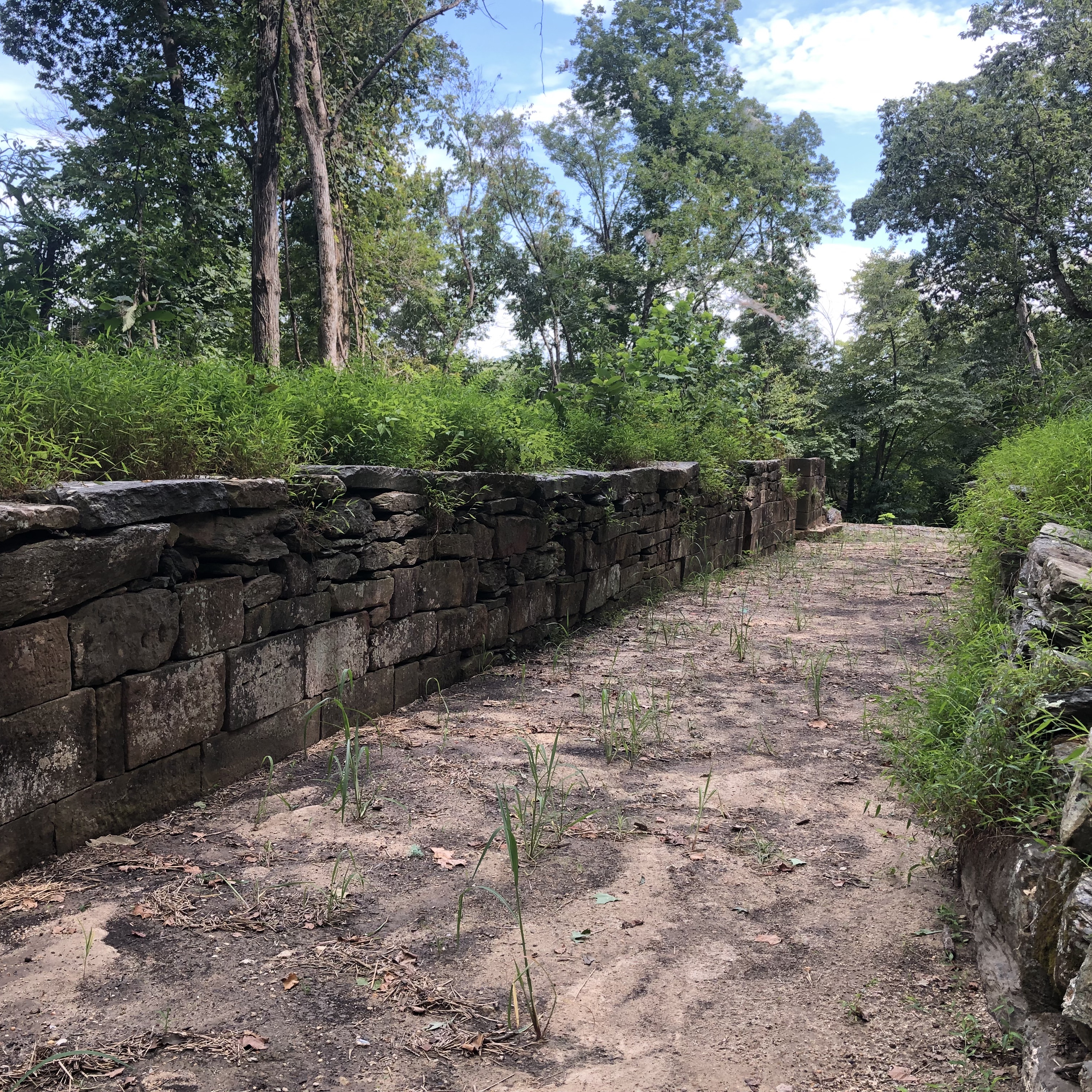 Remains of a canal at Great Falls
