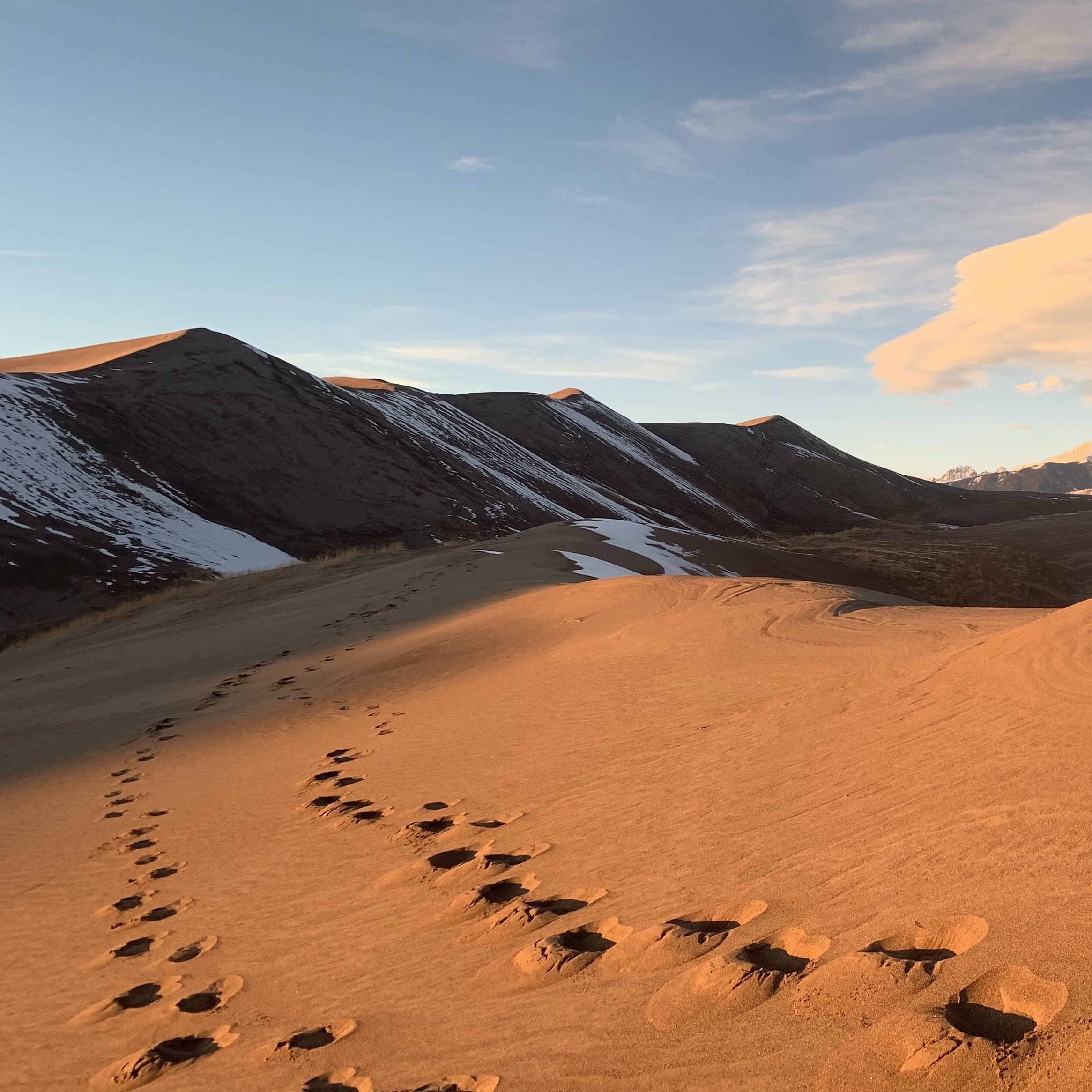 Footsteps in the Sand