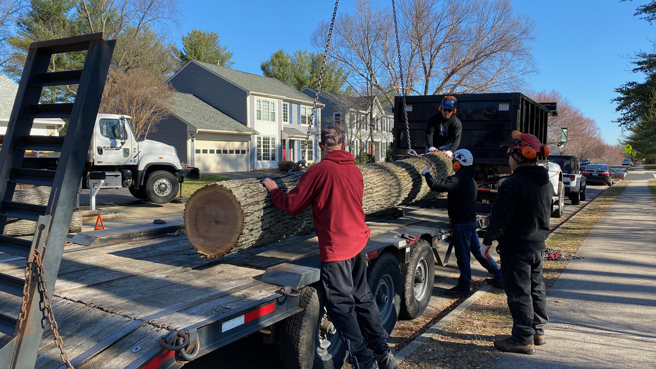 Moving Large Logs with Equipment