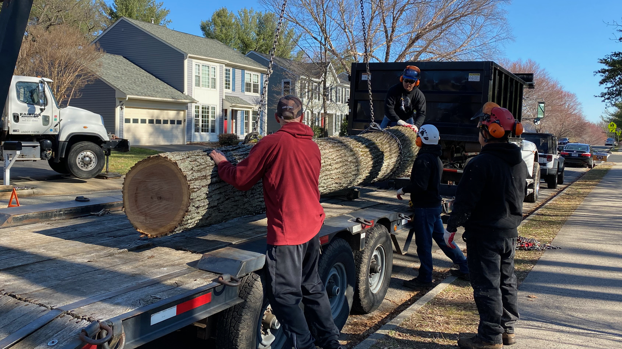 Tree Removal Moving Large Logs Herndon, VA
