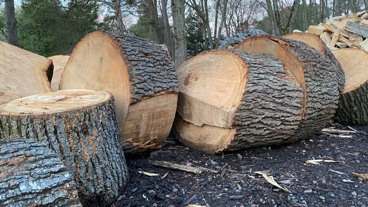 Large logs from a job in Great Falls, VA