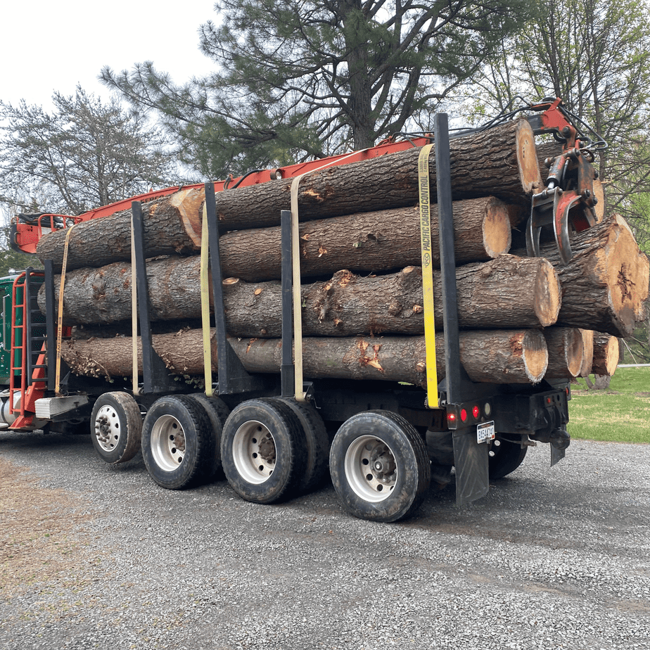 Hauling Wood Debris for Disposal